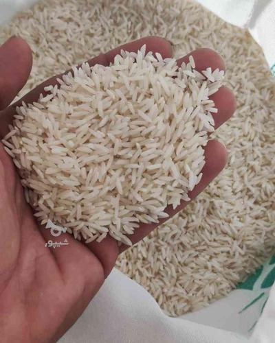 فروش فوری 2500 کیلو برنج طارم هاشمی درجه 1