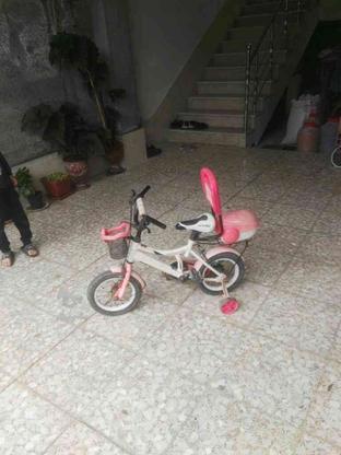 دوچرخه بچه گانه سایز 12 در گروه خرید و فروش ورزش فرهنگ فراغت در مازندران در شیپور-عکس1
