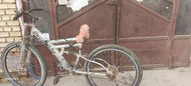 دوچرخه سالم در گروه خرید و فروش ورزش فرهنگ فراغت در خوزستان در شیپور-عکس1