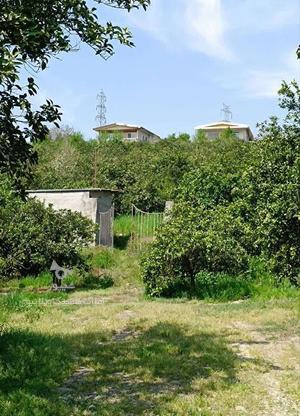 150 متر زمین باغ چسبیده به بافت بابلکنار در گروه خرید و فروش املاک در مازندران در شیپور-عکس1