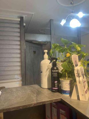 دستگاه لیزر موهای زائد برای مطب زیبایی در گروه خرید و فروش استخدام در تهران در شیپور-عکس1
