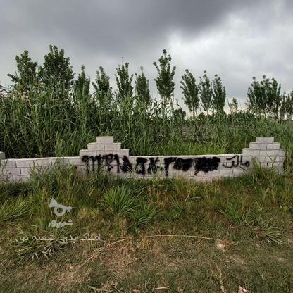 فروش زمین مسکونی 216 متر در اوجی آباد در گروه خرید و فروش املاک در مازندران در شیپور-عکس1