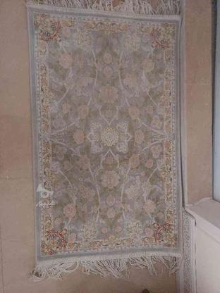 پادری از جنس فرش هنوز شسته نشده نو در گروه خرید و فروش لوازم خانگی در تهران در شیپور-عکس1