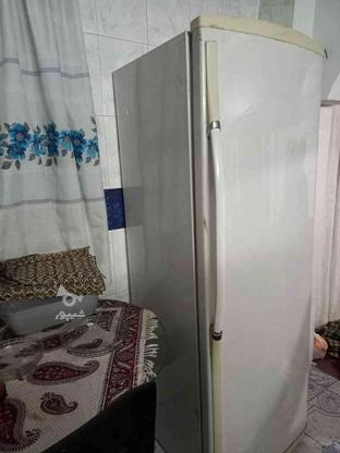 یخچال تک درب الکترو استیل در گروه خرید و فروش لوازم خانگی در مازندران در شیپور-عکس1