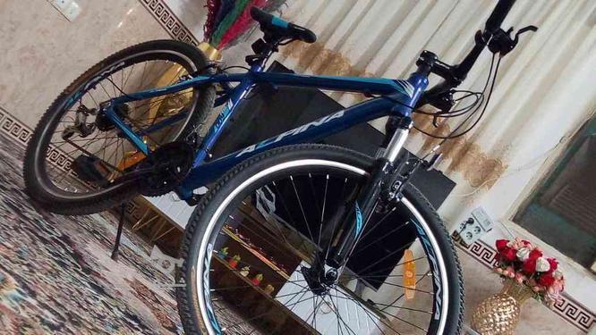 دوچرخه سایز 26 مدل آلپینا در گروه خرید و فروش ورزش فرهنگ فراغت در تهران در شیپور-عکس1