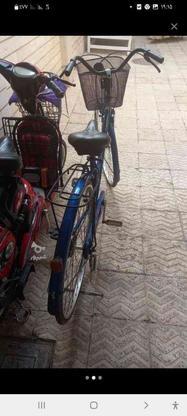 دوچرخه چینی در گروه خرید و فروش ورزش فرهنگ فراغت در آذربایجان شرقی در شیپور-عکس1