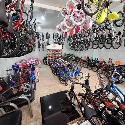 دوچرخه در سایزهای 12 16 20 24 26 27/5 در گروه خرید و فروش ورزش فرهنگ فراغت در کردستان در شیپور-عکس1