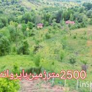 فروش زمین مسکونی 2500 متر در لاهیجان روستای بندبون بالا