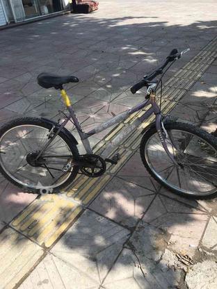 فروش دوچرخه بهاری آساک در گروه خرید و فروش ورزش فرهنگ فراغت در مازندران در شیپور-عکس1