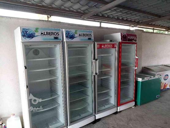انواع یخچال فریزر .صندوقی ایستاده در گروه خرید و فروش صنعتی، اداری و تجاری در مازندران در شیپور-عکس1
