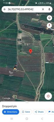 زمین کشاورزی 2400 متر شهیدآباد در گروه خرید و فروش املاک در مازندران در شیپور-عکس1