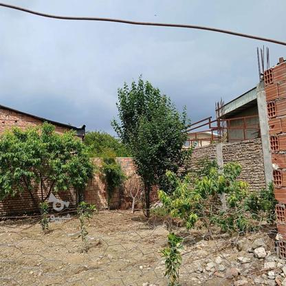 زمین مسکونی 400مترمربع موقعیت کردکوی در گروه خرید و فروش املاک در گلستان در شیپور-عکس1