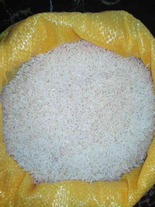 برنج هاشمی در گروه خرید و فروش خدمات و کسب و کار در گیلان در شیپور-عکس1