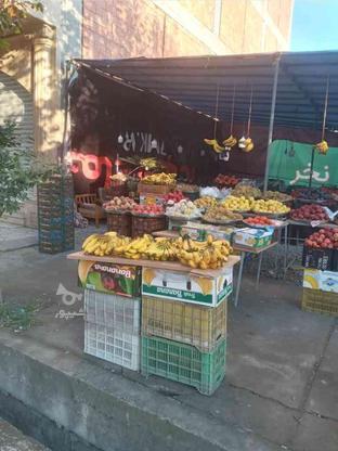به ی همکار خانم ماهر جهت ردیف کردن میوه در گروه خرید و فروش استخدام در مازندران در شیپور-عکس1