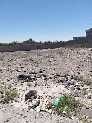 زمین در بزمان در گروه خرید و فروش املاک در سیستان و بلوچستان در شیپور-عکس1