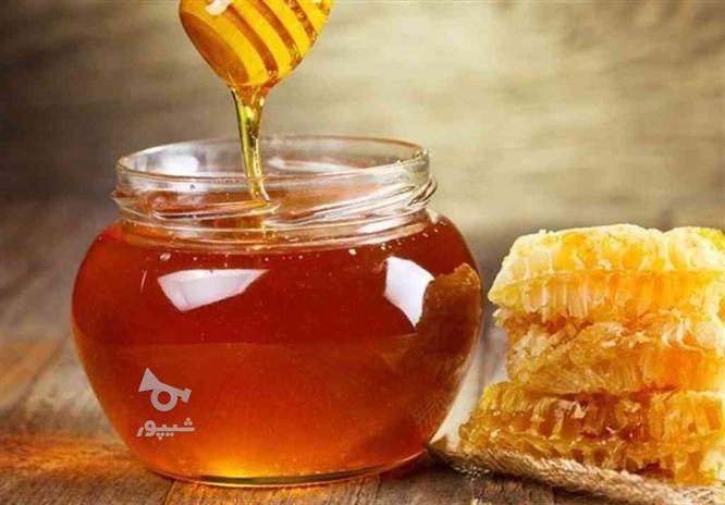 عسل صد درصد طبیعی با تضمین و جواب آزمایشگاه غذایی