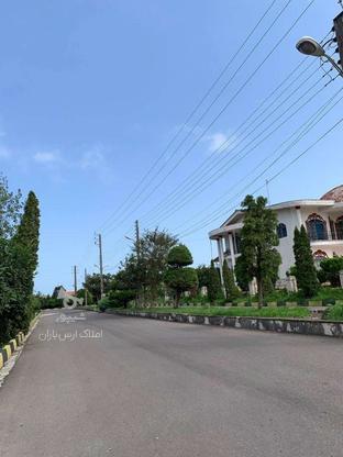 فروش زمین شهرکی 415 متر در سی سرا در گروه خرید و فروش املاک در مازندران در شیپور-عکس1