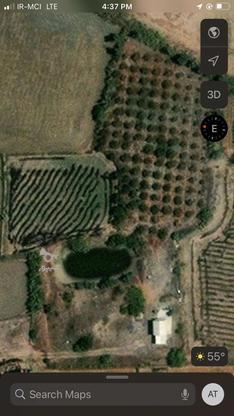 زمین کشاورزی باغی فاصله تا دریا 100 متر در گروه خرید و فروش املاک در مازندران در شیپور-عکس1