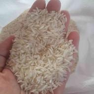 فروش برنج طارم هاشمی مستقیم از کشاورز بصورت عمده