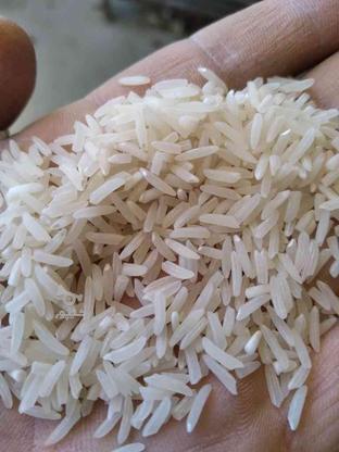برنج و نیم دانه در گروه خرید و فروش خدمات و کسب و کار در گیلان در شیپور-عکس1