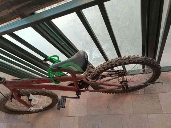 دوچرخه 20 سالم در گروه خرید و فروش ورزش فرهنگ فراغت در البرز در شیپور-عکس1