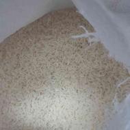 برنج طارم هاشمی امسال( 1402)250 کیلو کشاورزم