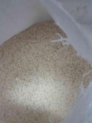 برنج طارم هاشمی امسال( 1402)250 کیلو کشاورزم در گروه خرید و فروش خدمات و کسب و کار در مازندران در شیپور-عکس1