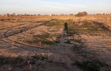 زمین باغی نیم هکتاری در تاکستان