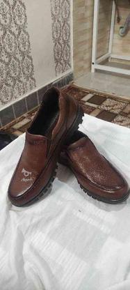 کفش چرم سایز 47 در گروه خرید و فروش لوازم شخصی در تهران در شیپور-عکس1