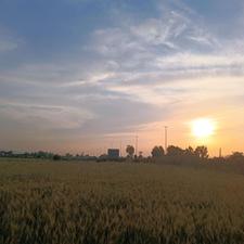 فروش زمین اداری و تجاری 500 متر در خیابان فرودگاه