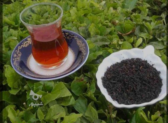 چای ایرانی در گروه خرید و فروش خدمات و کسب و کار در البرز در شیپور-عکس1
