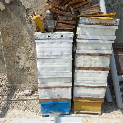 تعدادی کندو عسل با تجهیزات کامل در گروه خرید و فروش صنعتی، اداری و تجاری در مازندران در شیپور-عکس1