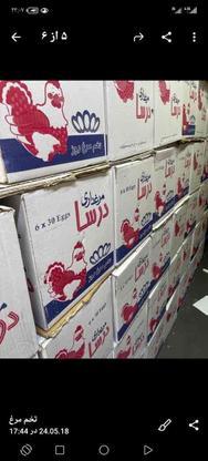 توزیع تخم مرغ و سوسیس و و حبوبات بسته به سراسر تهران در گروه خرید و فروش خدمات و کسب و کار در تهران در شیپور-عکس1
