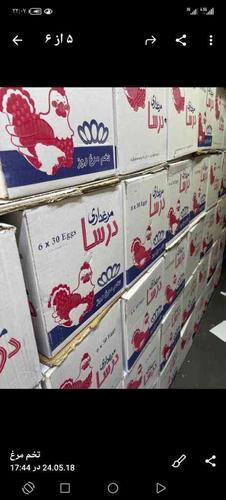 توزیع تخم مرغ و سوسیس و و حبوبات بسته به سراسر تهران