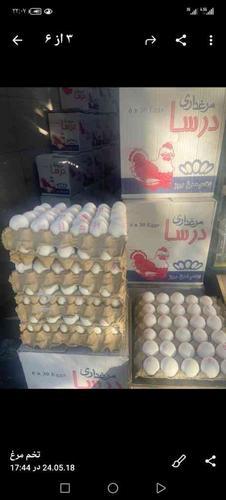 توزیع تخم مرغ و سوسیس و و حبوبات بسته به سراسر تهران