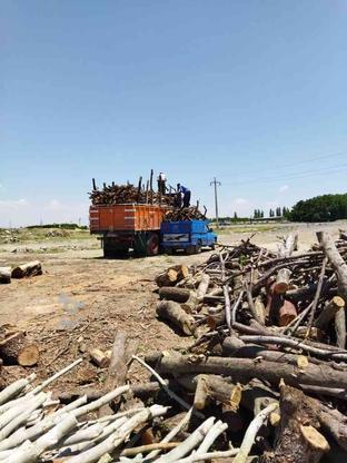 خرید هر گونه چوب به قیمت روز و پول نقد در گروه خرید و فروش خدمات و کسب و کار در آذربایجان غربی در شیپور-عکس1