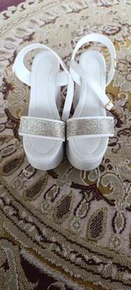 کفش مجلسی میزبانی برای عروسی در گروه خرید و فروش لوازم شخصی در مازندران در شیپور-عکس1