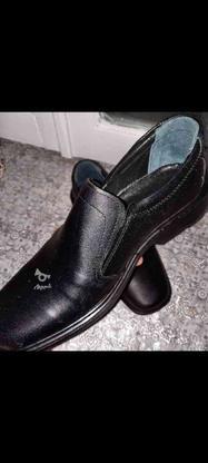کفش طبی پاما سایز 42 در گروه خرید و فروش لوازم شخصی در مازندران در شیپور-عکس1