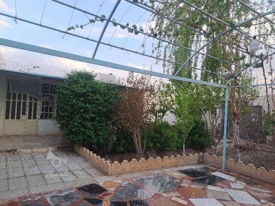 باغچه فردوسیه 208متر در گروه خرید و فروش املاک در تهران در شیپور-عکس1