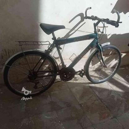 فروش دوچرخه 24 مارک المپیا در گروه خرید و فروش ورزش فرهنگ فراغت در فارس در شیپور-عکس1