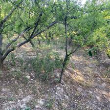 فروش باغچه سند تک برگ 150 متر بر بلوار رسول اکرم بکه