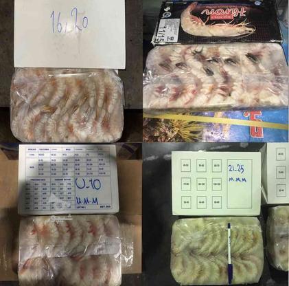 شرکت فروش ماهی و میگو تازه و منجمد در تهران در گروه خرید و فروش خدمات و کسب و کار در تهران در شیپور-عکس1