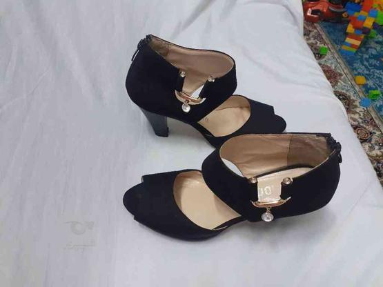 کفش تابستانه مجلسی سایز 40 در گروه خرید و فروش لوازم شخصی در مازندران در شیپور-عکس1