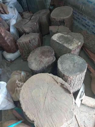 چوب توت خشک در گروه خرید و فروش خدمات و کسب و کار در مازندران در شیپور-عکس1
