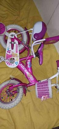 دوچرخه دخترانه صورتی سایز 12 مناسب 2تا7سال عین نو هست در گروه خرید و فروش ورزش فرهنگ فراغت در مازندران در شیپور-عکس1
