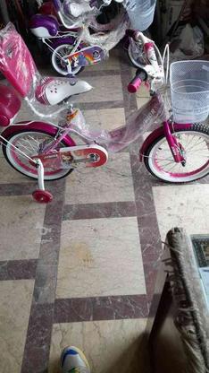 دوچرخه بچه گانه انواع سایز در گروه خرید و فروش ورزش فرهنگ فراغت در گیلان در شیپور-عکس1