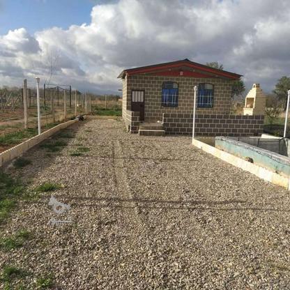 زمین کشاورزی 1200 متر در ابهر در گروه خرید و فروش املاک در زنجان در شیپور-عکس1