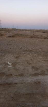زمین 250 متر در شادگان صوفی اباد در گروه خرید و فروش املاک در خوزستان در شیپور-عکس1