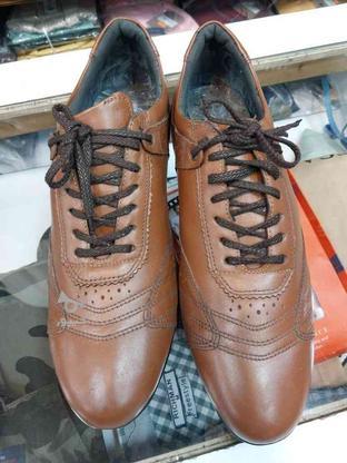 کفش کتونی بنددار در گروه خرید و فروش لوازم شخصی در مازندران در شیپور-عکس1