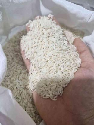 برنج طارم هاشمی ساری کیلویی 90 در گروه خرید و فروش خدمات و کسب و کار در مازندران در شیپور-عکس1